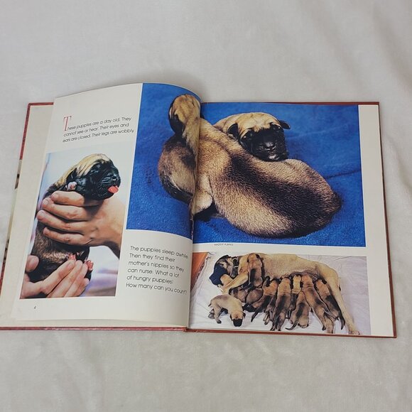Puppies Hardcover Book National Geographic Society For Young Explorers 1982 - Picture 7 of 11